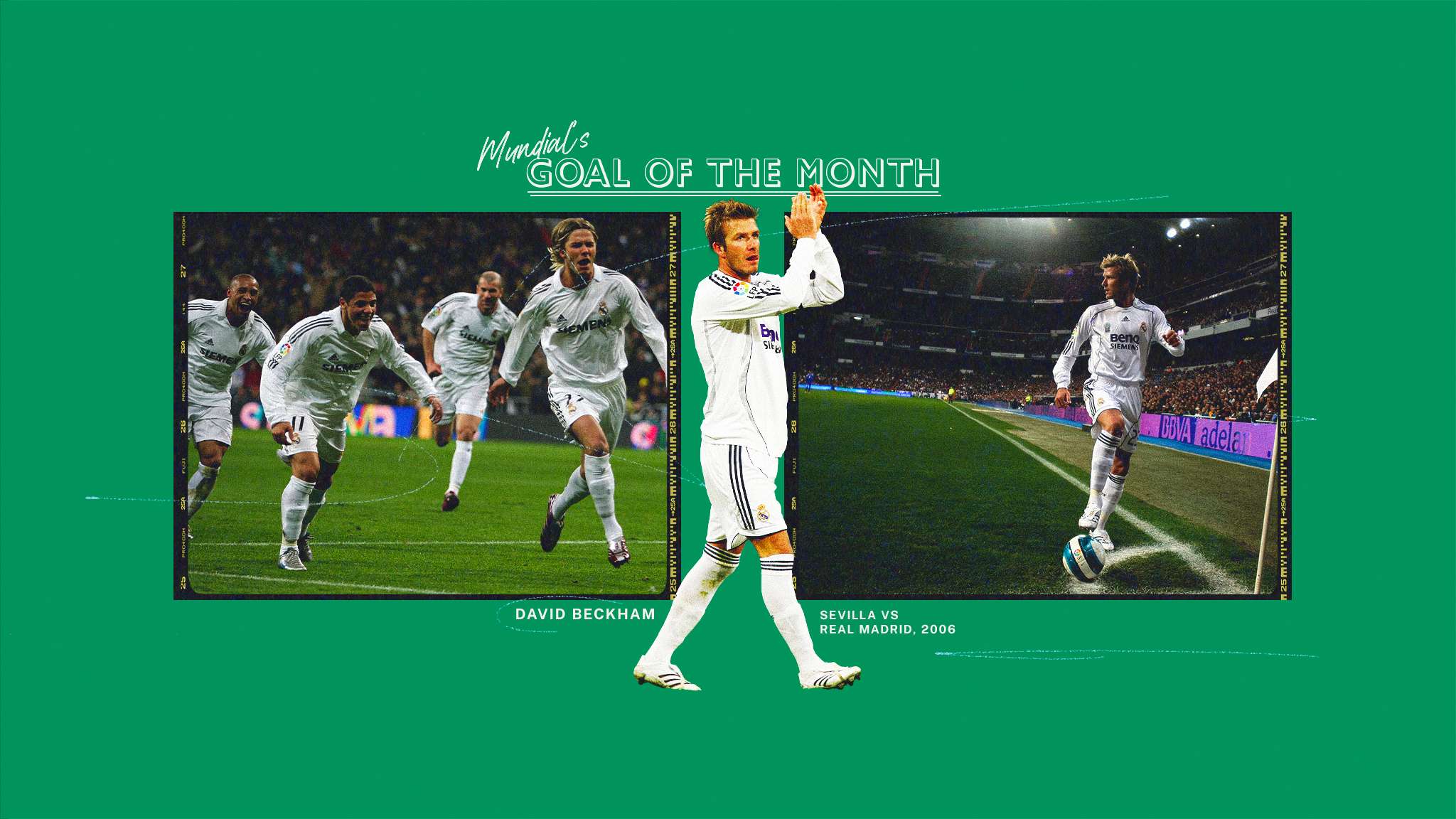 这是一个自 这是一个自